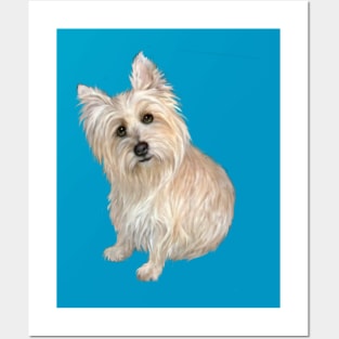 Wheaten Colored Cairn Terrier - Just the Dog Posters and Art